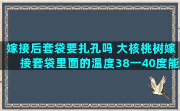 嫁接后套袋要扎孔吗 大核桃树嫁接套袋里面的温度38一40度能热死吗需耍撕口吗